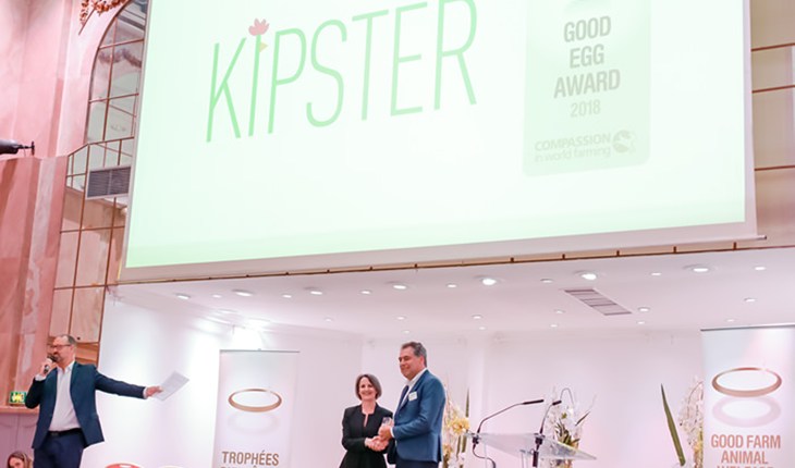 KipsterWinner.jpg
