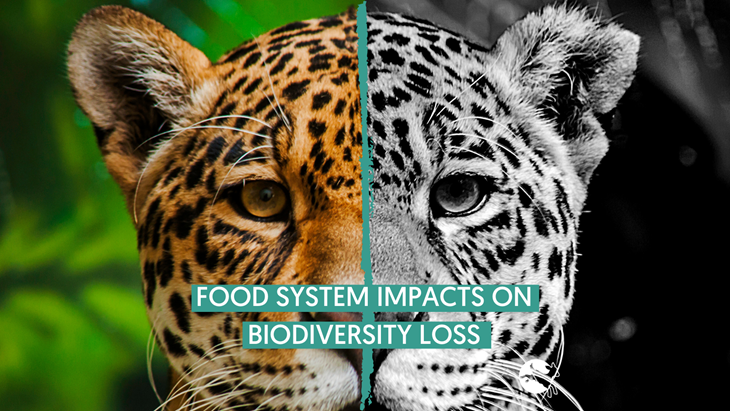 Images For Twitter Food System Impacts On Biodiversity Loss